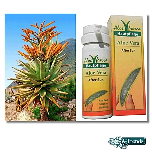 Aloe Vera After Sun / SI-11040 / Inhalt: 50 ml